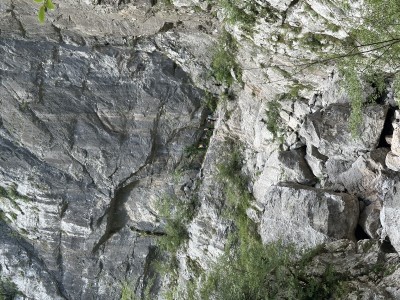 IMG_5106.jpeg