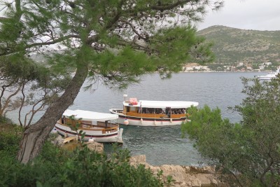 2510_Daksa_02.jpg