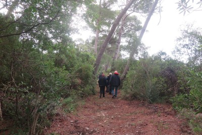2510_Daksa_03.jpg