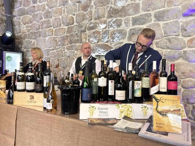 Gradonačelnik Franković otvorio treći festival vina i delicija