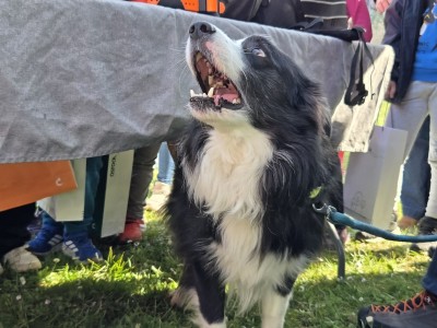 Grad Dubrovnik organizirao edukaciju o civilnoj zaštiti za najmlađe