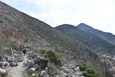 IZ PROGRAMA LIBERTAS TELEVIZIJE
