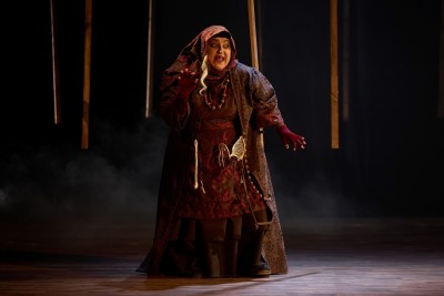 Vasilisa Premudra: Čarobni svijet bajki