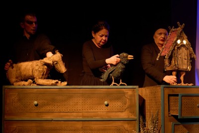 Vasilisa Premudra: Čarobni svijet bajki