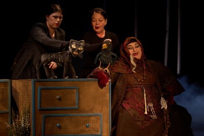 Vasilisa Premudra: Čarobni svijet bajki