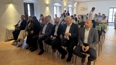 U Stonu pušteni mladunci riječne kornjače