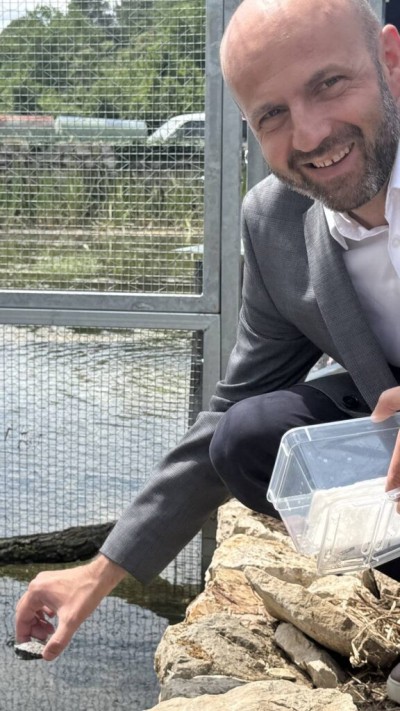 U Stonu pušteni mladunci riječne kornjače