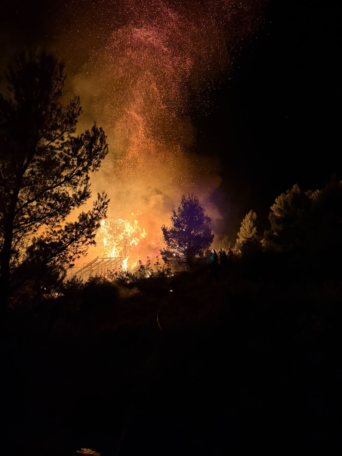 ZAHVALJUJUĆI BRZOJ REAKCIJI