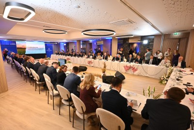 Župan Pezo sudjelovao na sjednici Vijeća za regionalni razvoj