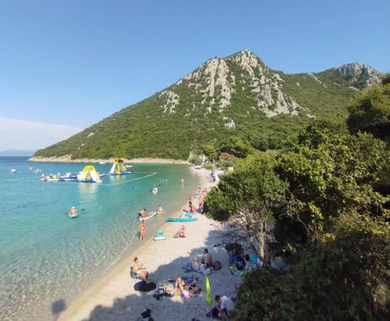 PELJEŠAC POD POVEĆALOM