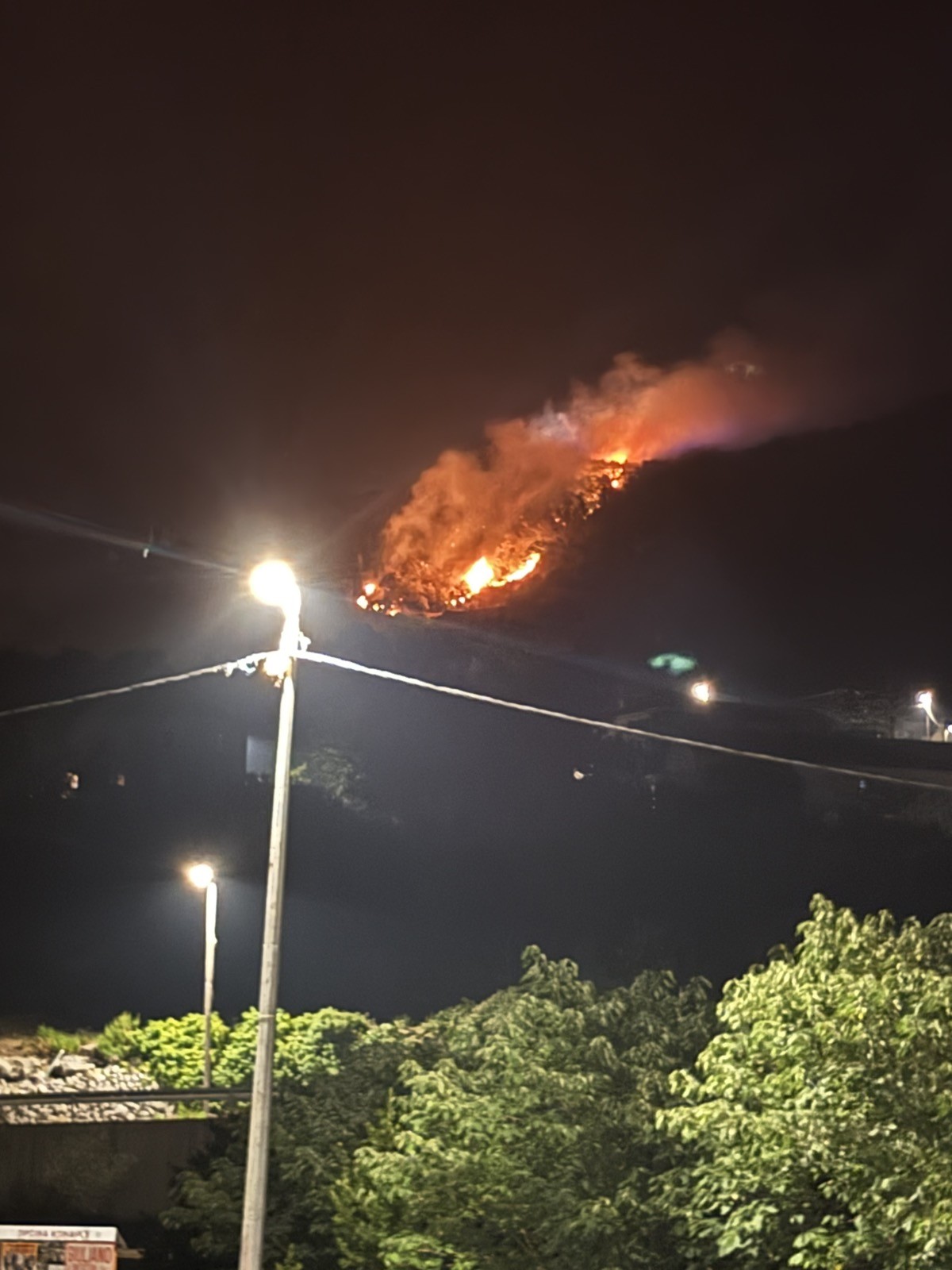 GORILO IZNAD MRCINA: Vatrogasci na terenu (Foto)