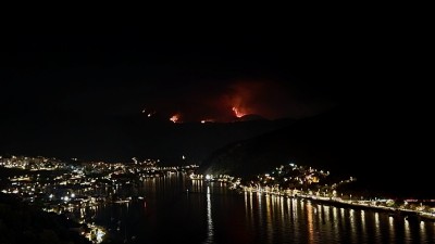 IMG_2792.jpeg