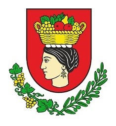 Sazvana 14. sjednica Općinskog vijeća Župe dubrovačke