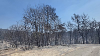 Zračne snage suzbijaju požar na Pelješcu