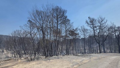 Zračne snage suzbijaju požar na Pelješcu