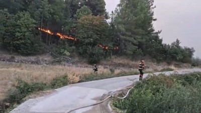 Zračne snage suzbijaju požar na Pelješcu