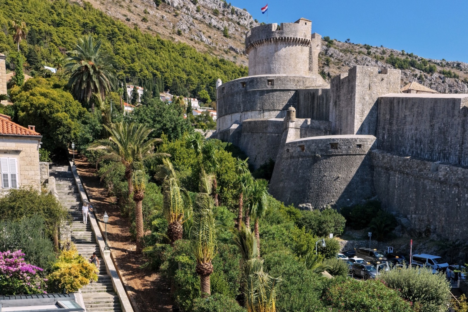 Posađene palme Uz Posat, još jedan korak prema zelenijem i uređenijem Dubrovniku
