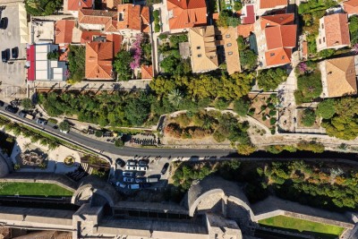 Nova sadnja palmi uz Posat za ljepši Dubrovnik