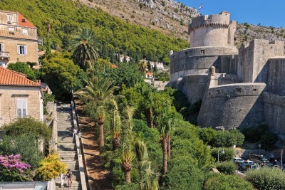 Nova sadnja palmi uz Posat za ljepši Dubrovnik