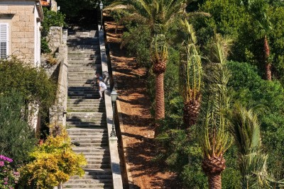 Nova sadnja palmi uz Posat za ljepši Dubrovnik