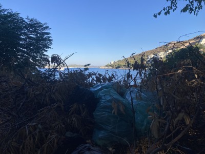IMG_0688.JPEG