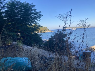 IMG_0695.JPEG