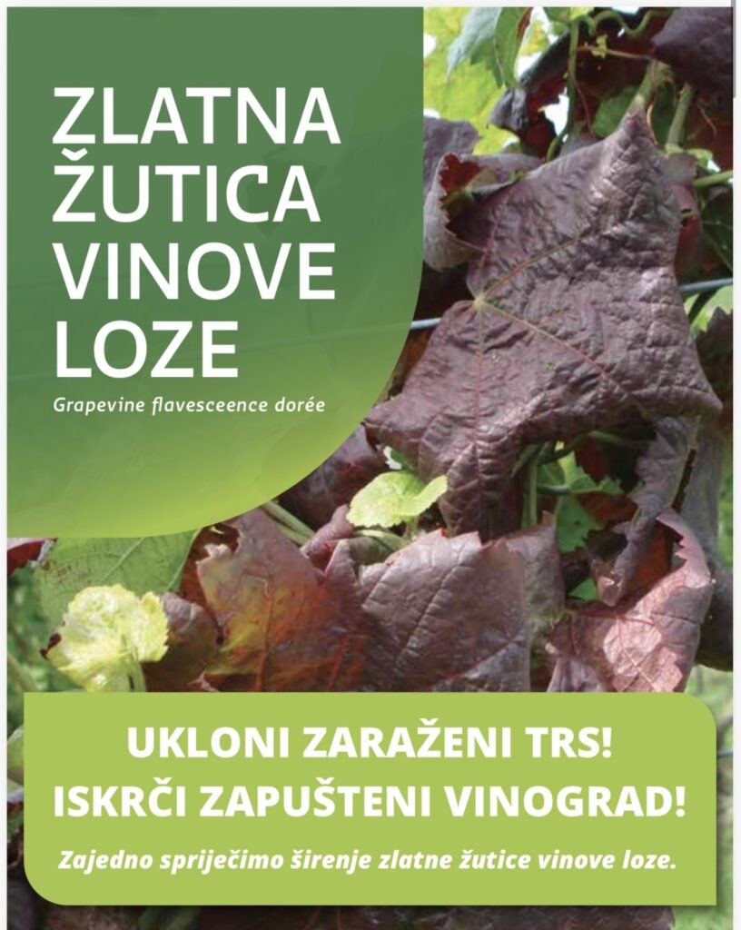 OBAVIJEST O BOLESTI