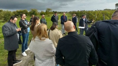 Vinari iz Dubrovačko-neretvanske županije otkrivaju inovacije u Bordeauxu