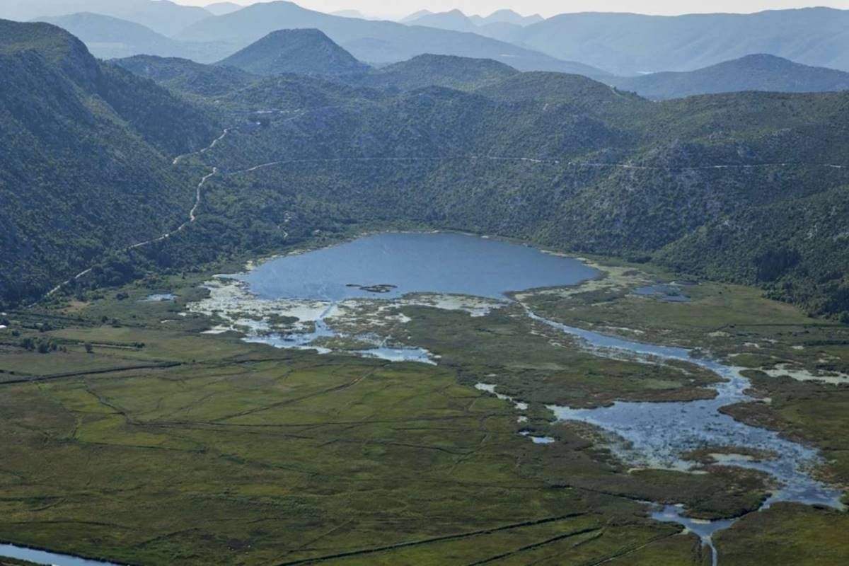 Kaos oko suzbijanja voćne muhe: Tko je zakazao u dolini Neretve?